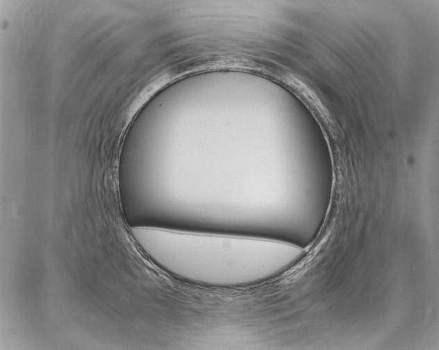 X0000087371097200704200811