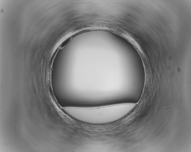 X0000087371101200704200811