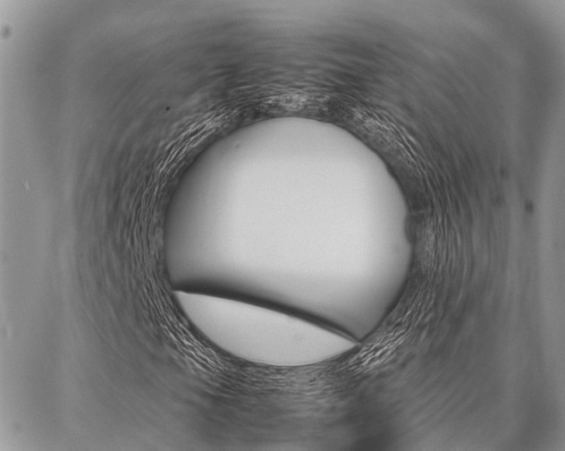 X0000087371105200704200810