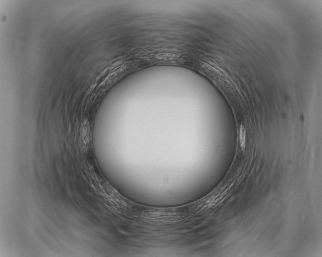 X0000087371107200704200810