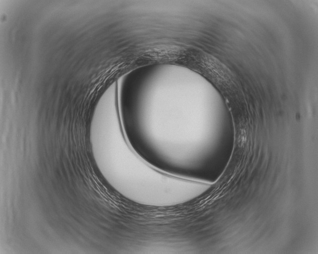 X0000087371108200704200810