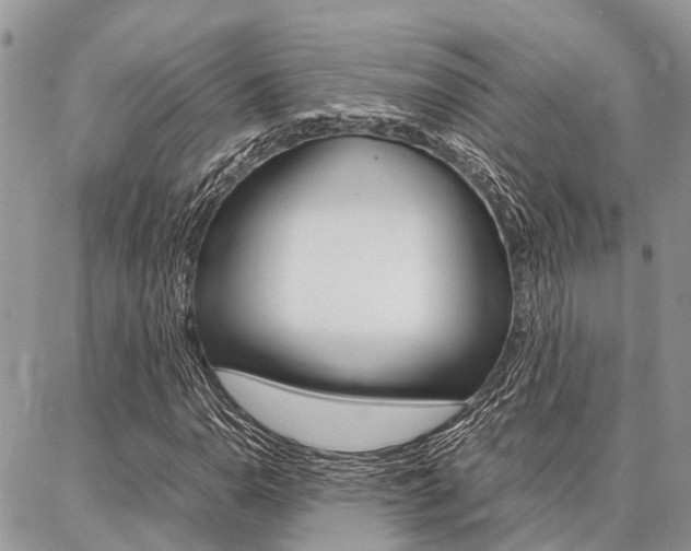 X0000087371110200704200811