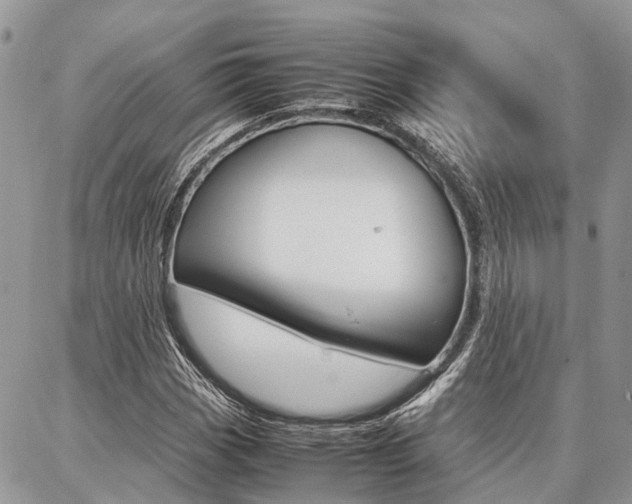 X0000087371113200704200811