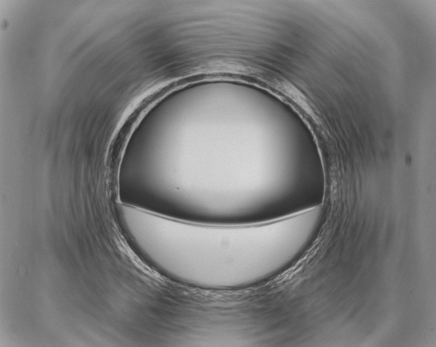 X0000087371116200704200811