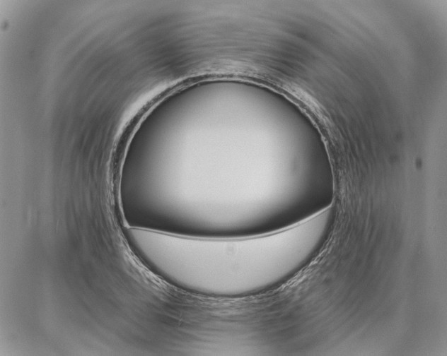 X0000087371120200704200811