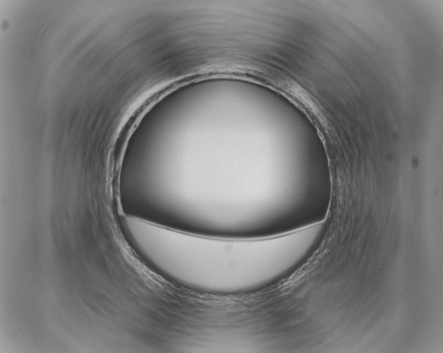X0000087371124200704200811