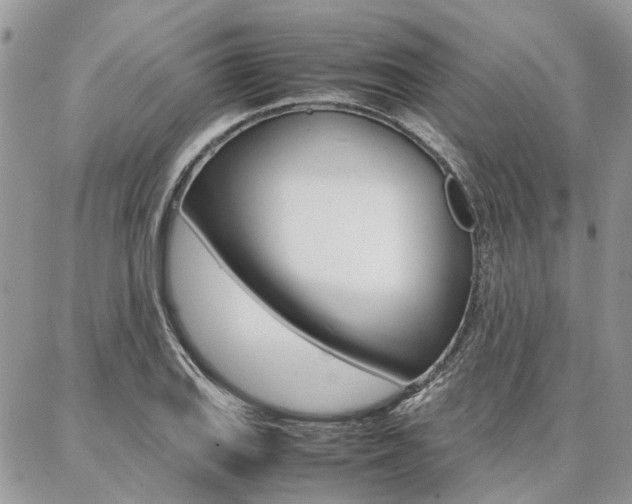 X0000087371127200704200811