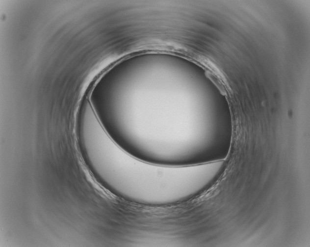 X0000087371128200704200811