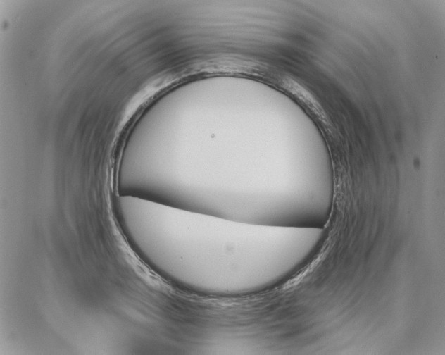 X0000087371130200704200811