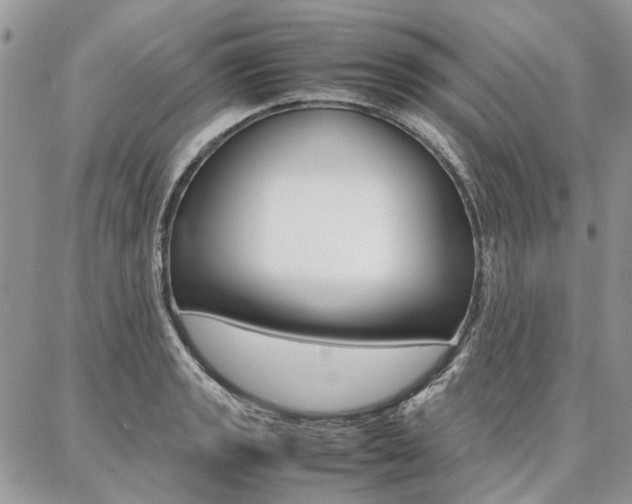 X0000087371133200704200811