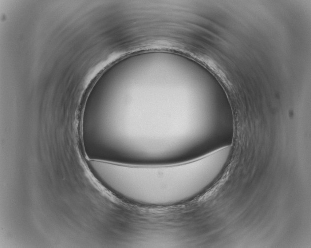 X0000087371134200704200811