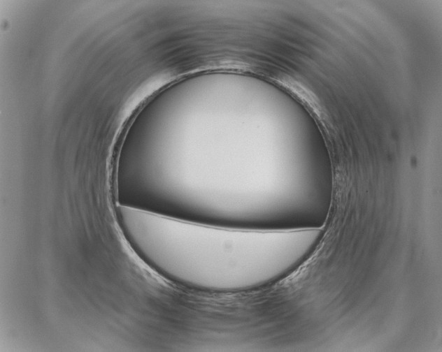 X0000087371135200704200811