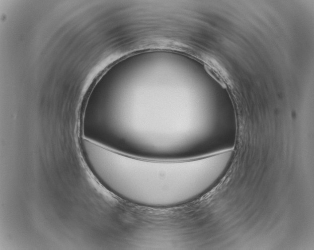 X0000087371136200704200811