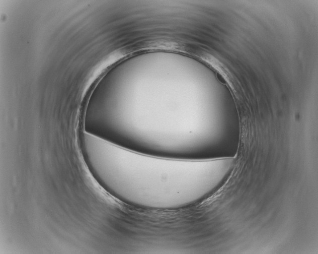 X0000087371139200704200811