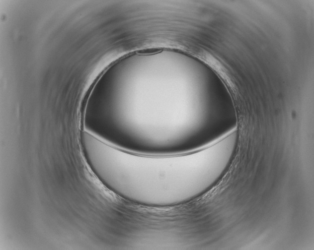 X0000087371140200704200811