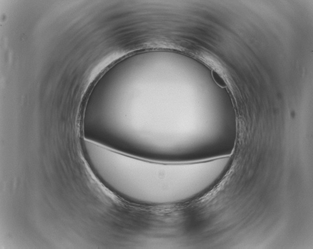 X0000087371141200704200811