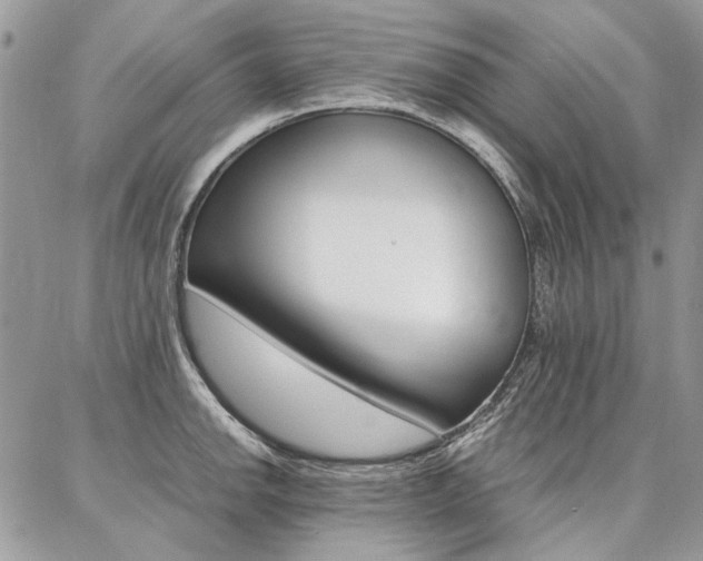 X0000087371142200704200811