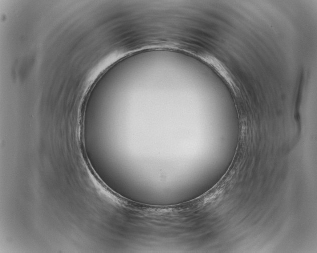 X0000087371143200704200811