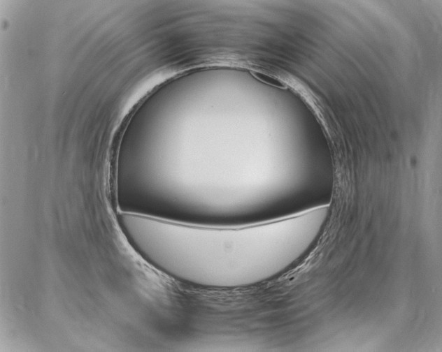 X0000087371147200704200811