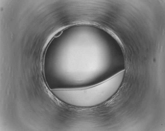 X0000087371148200704200811