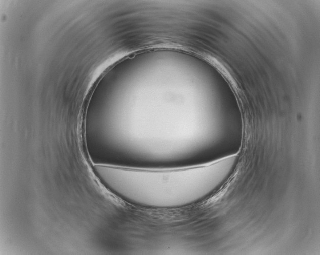 X0000087371149200704200811