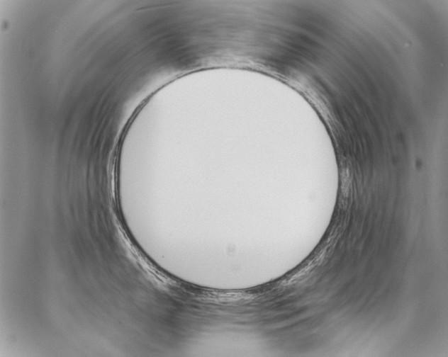 X0000087371150200704200811