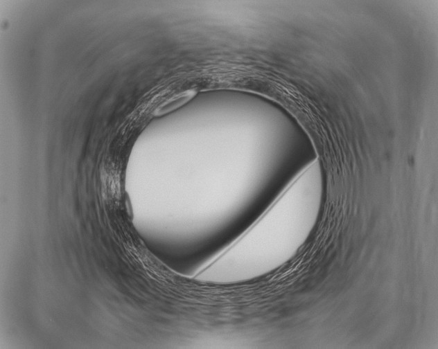 X0000087371155200704200810