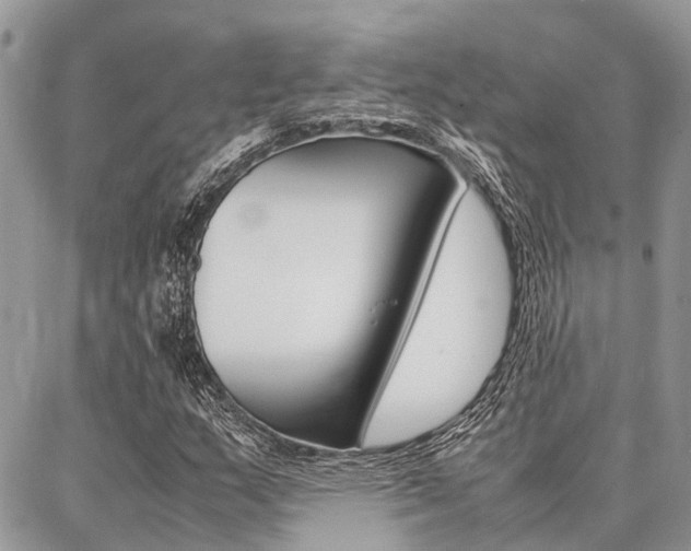 X0000087371159200704200810