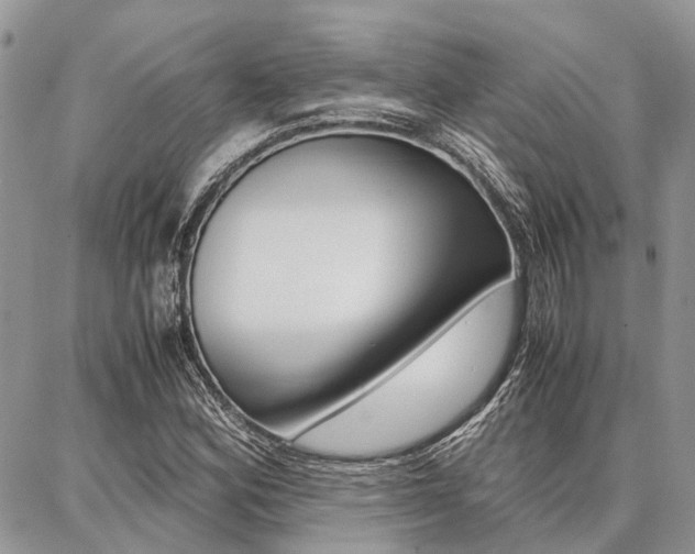 X0000087371164200704200810