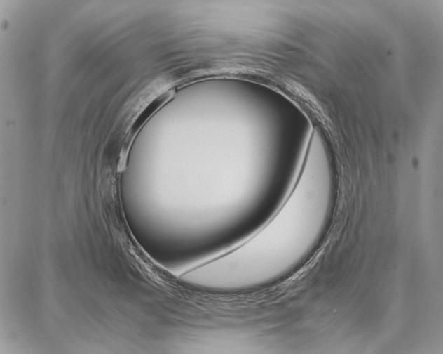 X0000087371177200704200810
