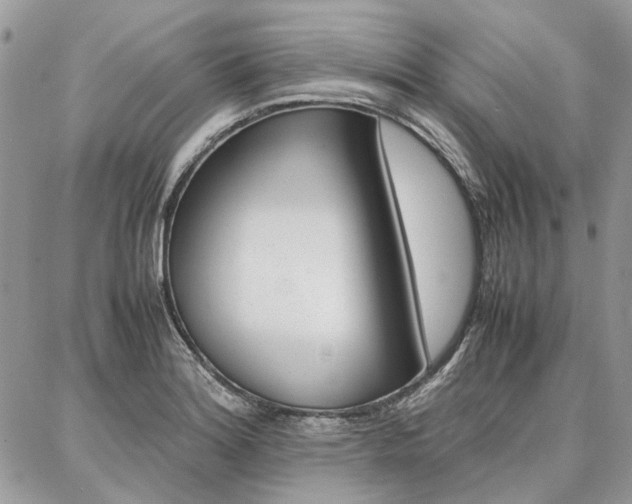X0000087371180200704200810