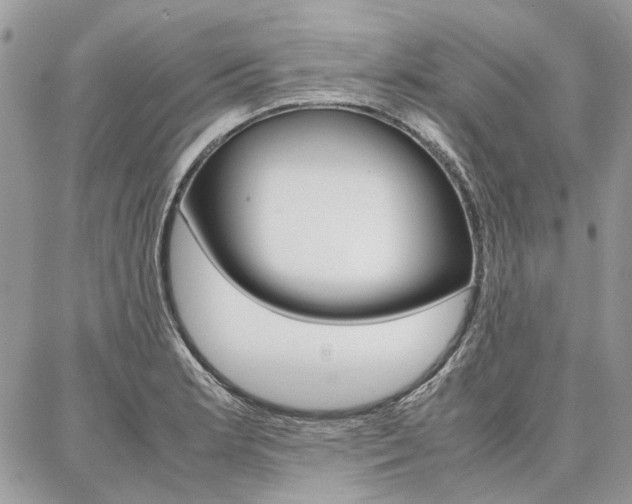 X0000087371181200704200810