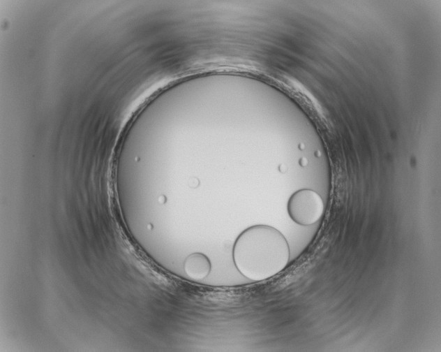 X0000087371182200704200810