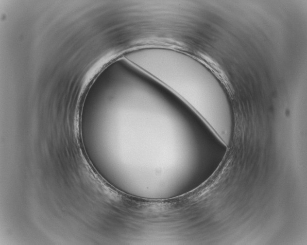X0000087371188200704200810