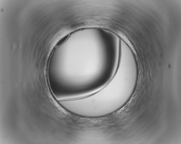 X0000087371197200704200810