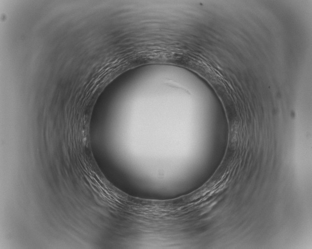 X0000087371202200704200809