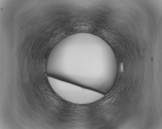 X0000087371203200704200809