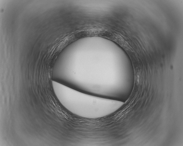 X0000087371204200704200809