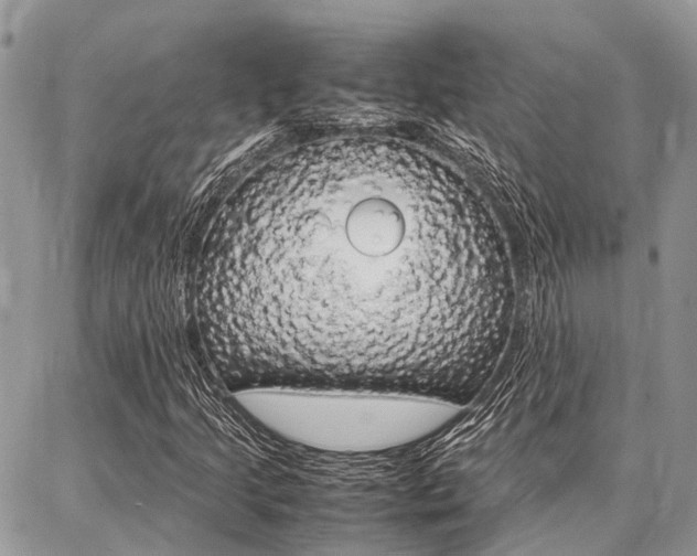 X0000087371205200704200809
