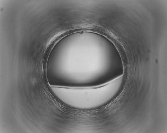 X0000087371214200704200809