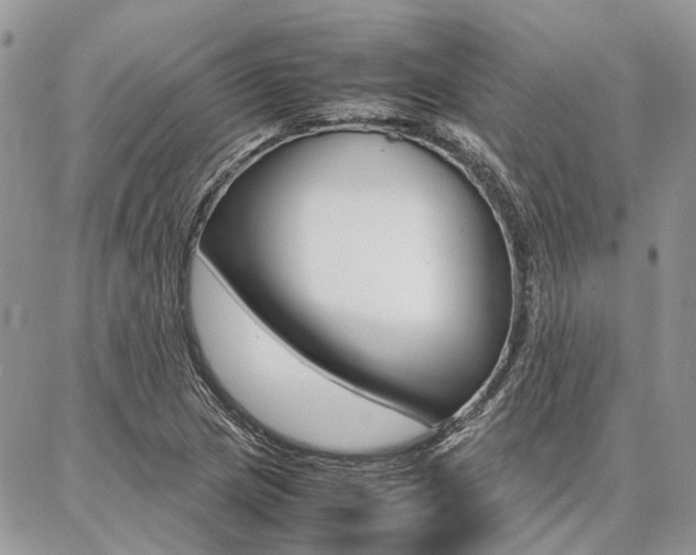 X0000087371217200704200809