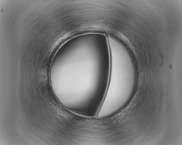 X0000087371218200704200809