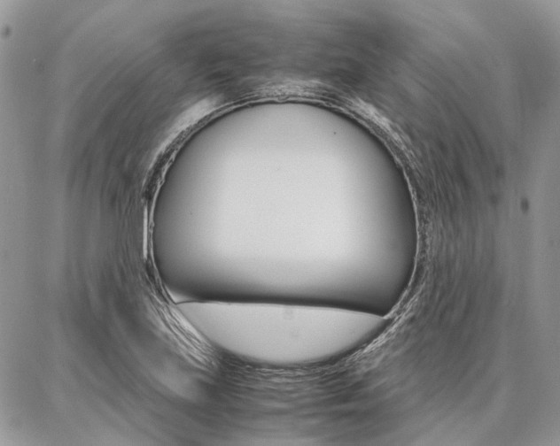 X0000087371219200704200809