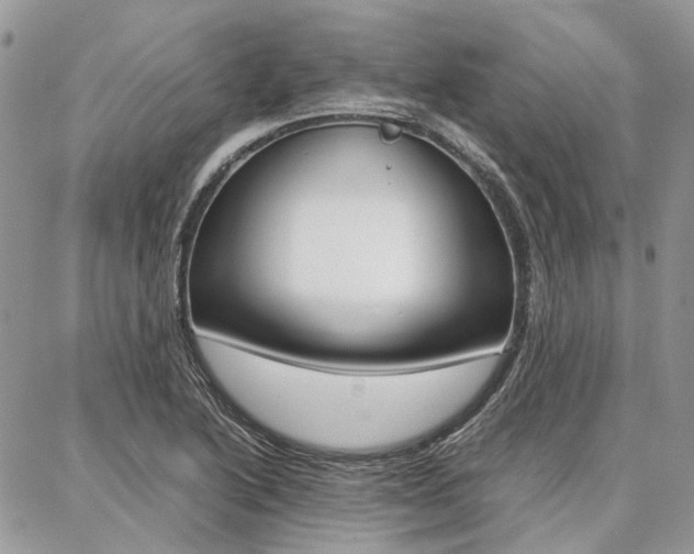 X0000087371222200704200809