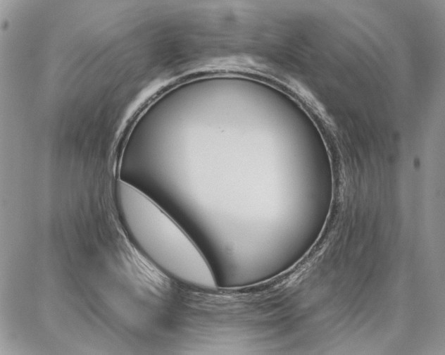 X0000087371224200704200809