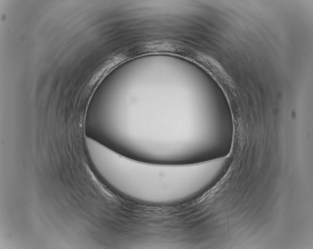 X0000087371225200704200809