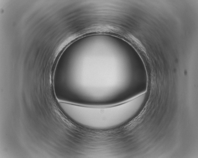 X0000087371226200704200809