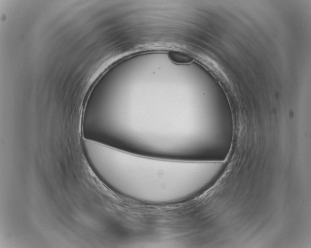 X0000087371228200704200809