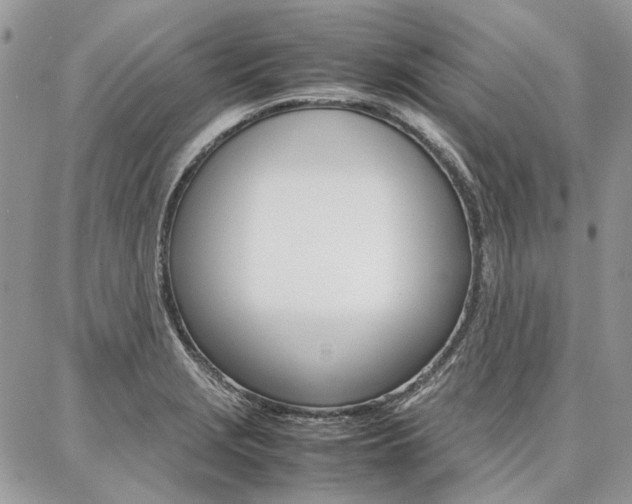 X0000087371229200704200809