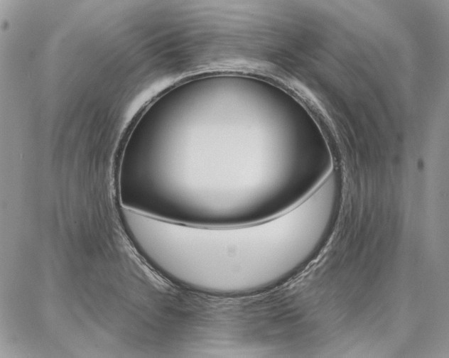 X0000087371230200704200809